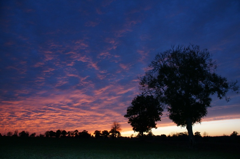 Noyers Bocage (Calvados)